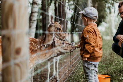 Die 3 besten Zoos in NRW