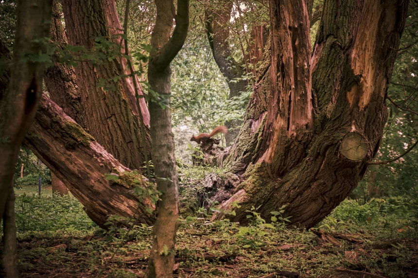 5 Sehenswürdigkeiten in Leverkusen