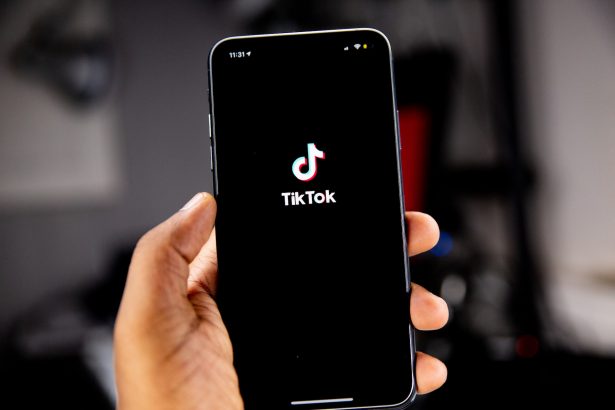 TikTok die beliebte Social Media Plattform