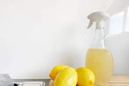 Alternative Reinigungsmittel