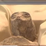 1000 Jahre alte "Alien-Leichen" enthüllt in Mexiko