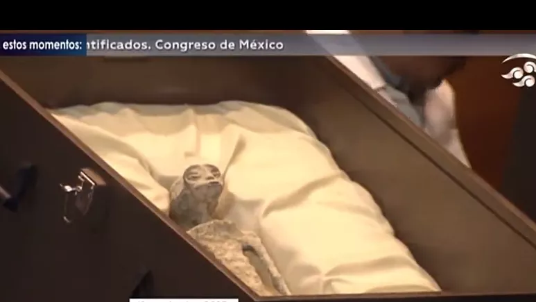 Alien-Leichen in Mexiko entfüllt. Echte Aliens oder alles nur Show?